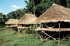 Amazon Lodge